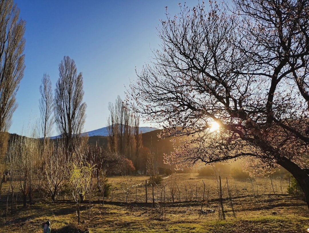 patagonia mountains landscape