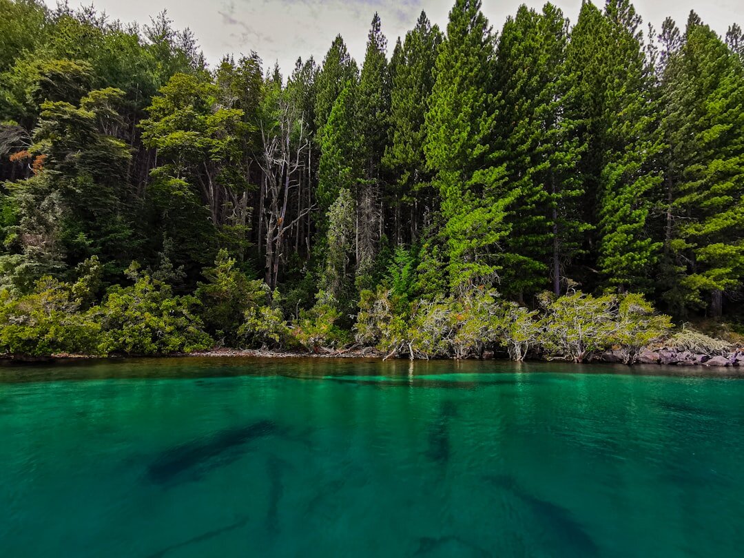 lake nahuel huapi argentina
